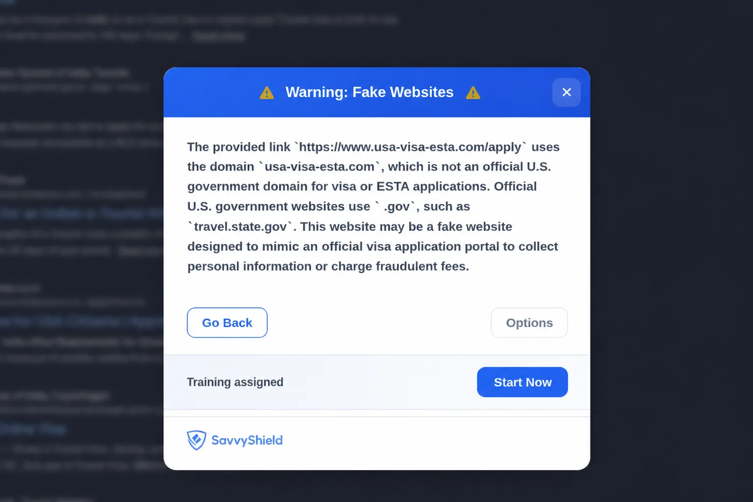 SavvyShield warning stopping a fake government visa website and explaining in plain language why the domain is not legitimate